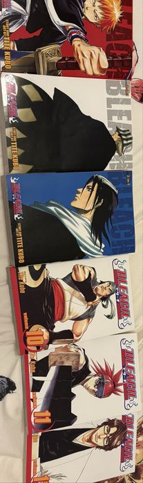 Bleach primele 12 volume
