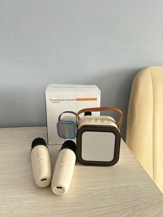 Калонка с 2 микрофона