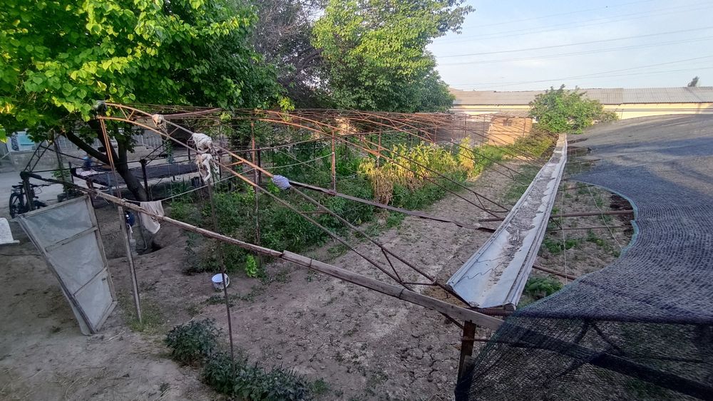 Тепелитса sotiladi