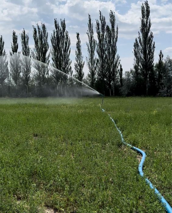 Насос для полива