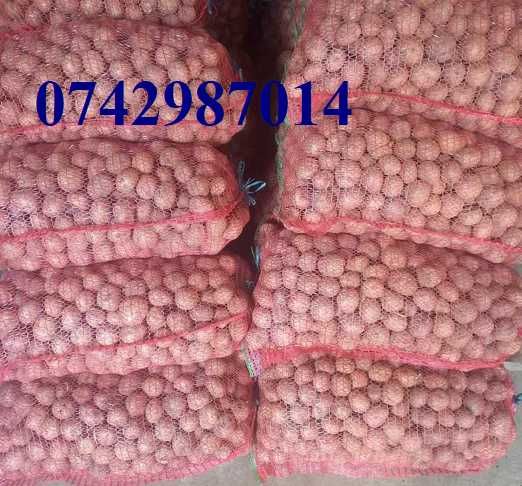 Vând cartofi roși, mari și sămânță!