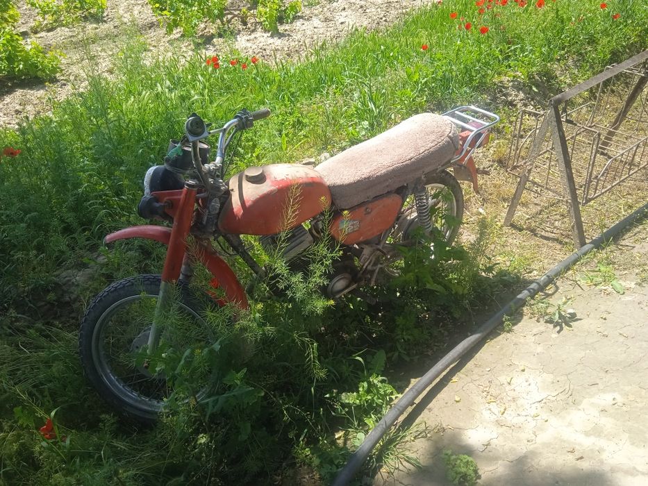 Minsik yaxshi holadda