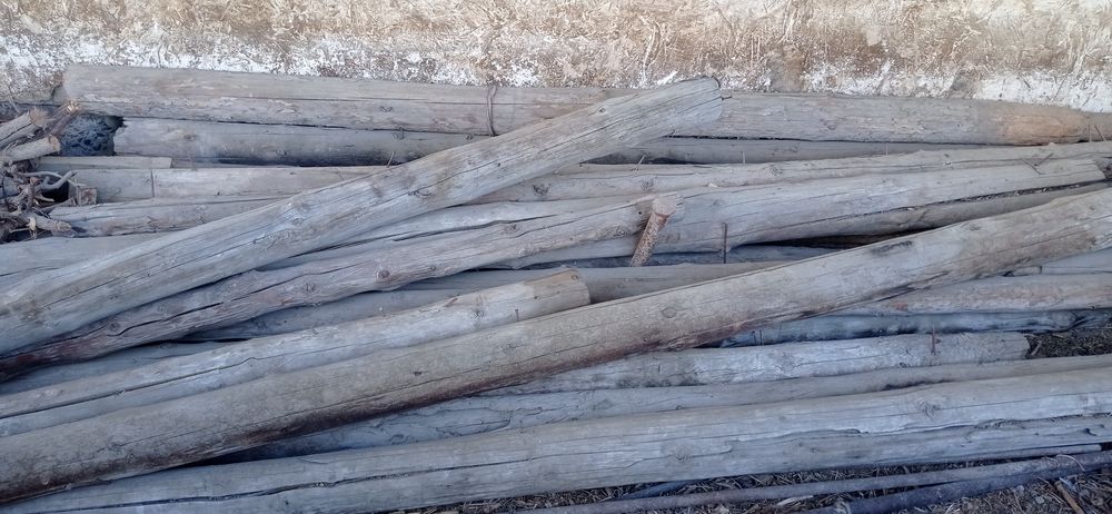 Кругляк жагдайы орташа, коп колемде