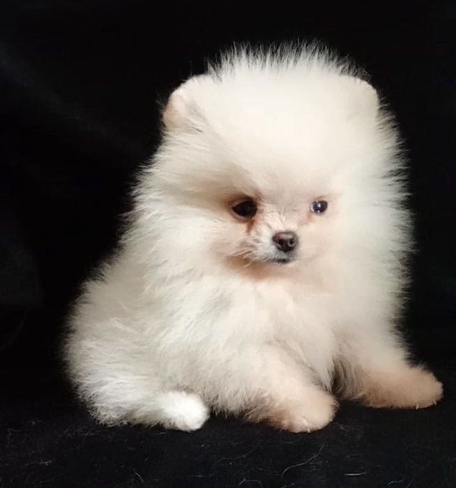 Счастье на ладошке