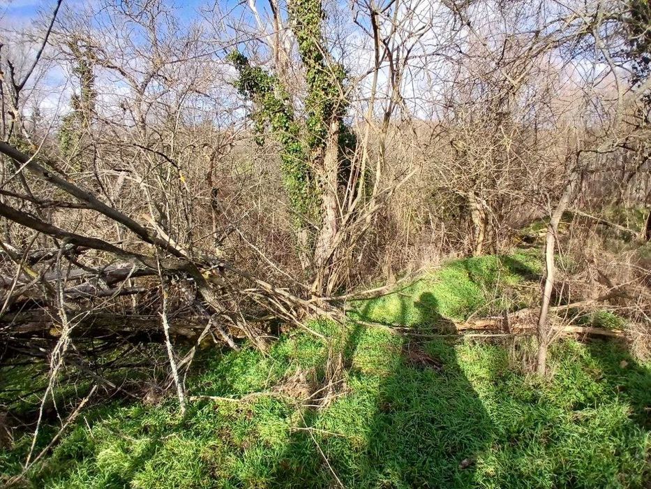 Продава се Парцел в с. Отец Паисиево, Област Пловдив - 20 кв.м за 893 €/кв.м - Снимка #6