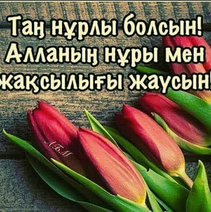 Бизнеске арналған участок 10м×12м