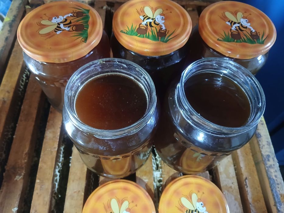 Miere de mană curata productie 2025