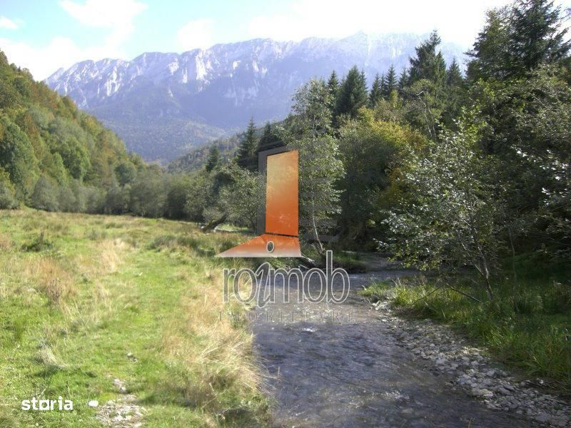 Teren Barsa lui Bucur, Plaiul Foii, Zarnesti