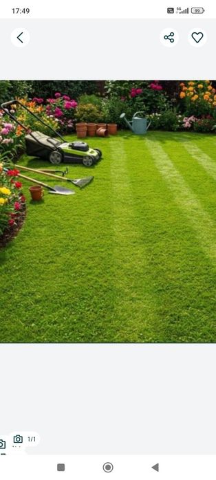 Tund gazon/curatenie