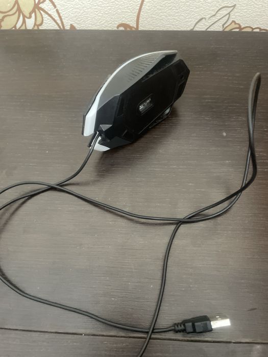 Кампитор на мишка