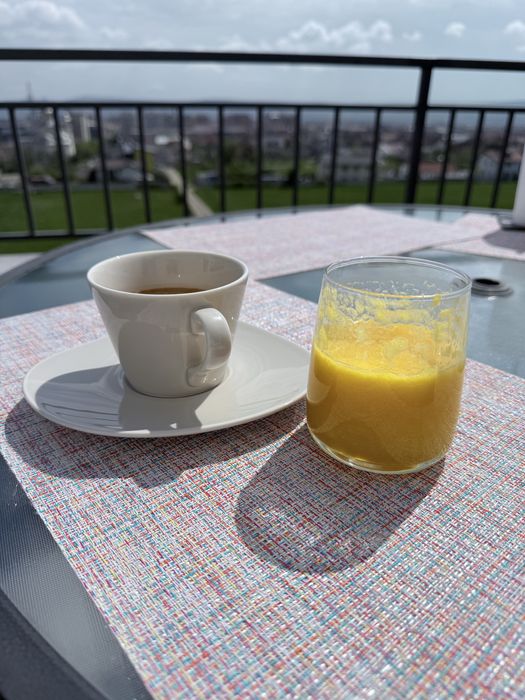 Apartament Panoramic ,Regim hotelier.