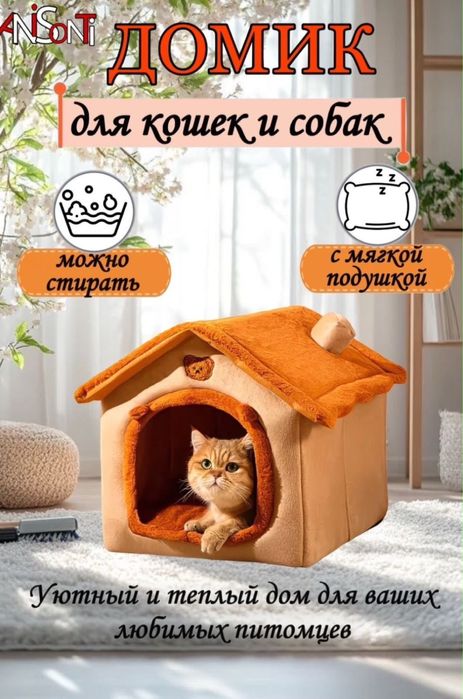 Отдам кота в добрые руки