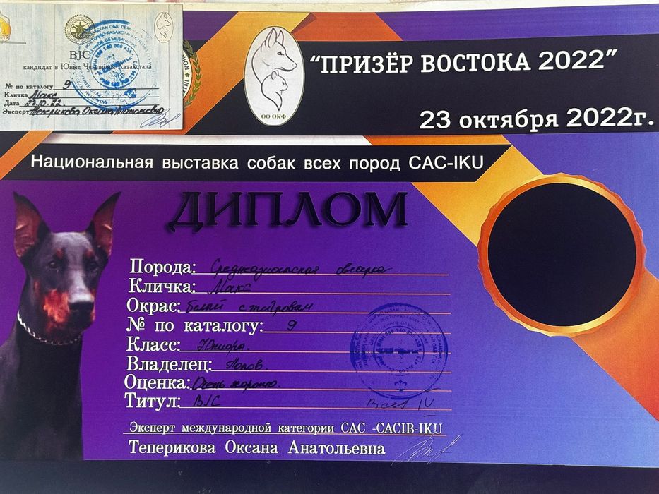 САО кобель для вязки