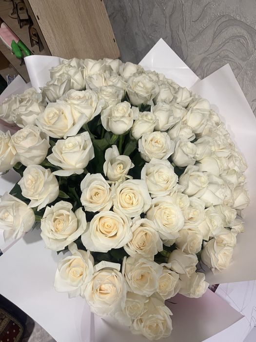 101 роза сегодняшнее