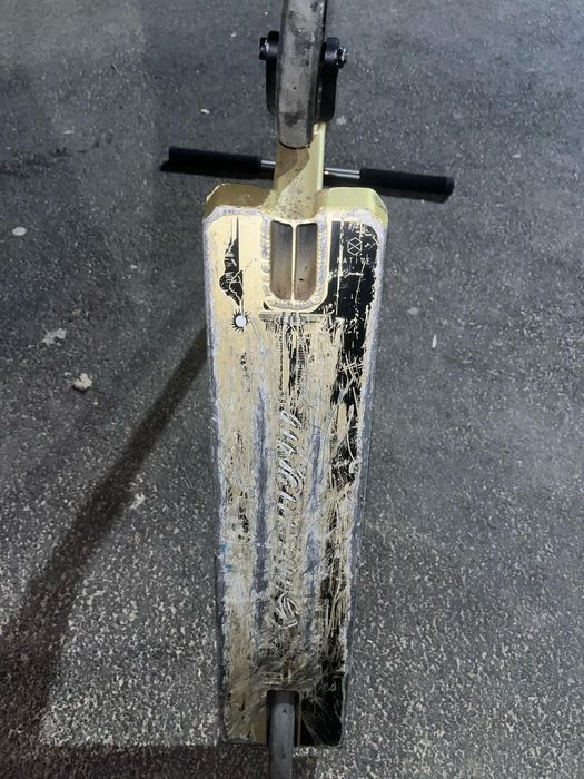 Native stem complete saundezy