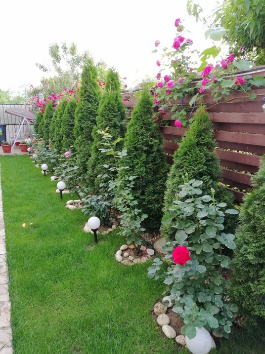 Se oferă spre vânzare duplex p+1  complet mobilat și utilat.Direct propietar.Comuna Berceni zona Trandafirilor.5minute față de Lidl.