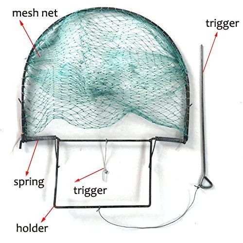 Капканы ловушки для птиц