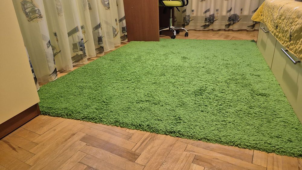 Covor shaggy verde 160×230