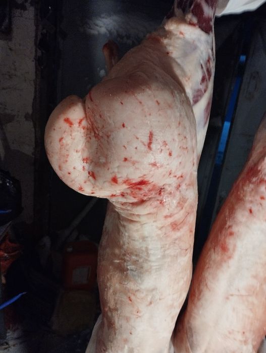 Продам мясо баранина