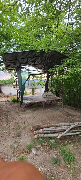 DACHA sotiladi suv Elektor bor