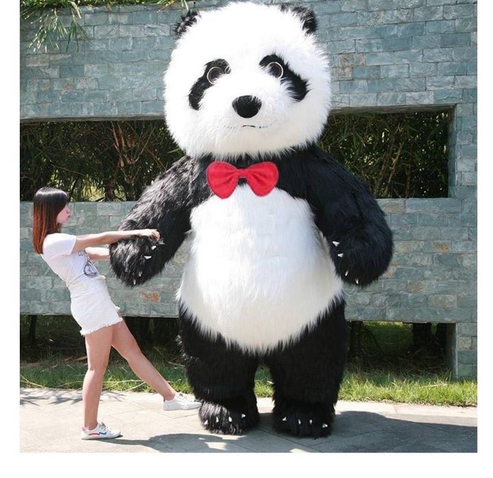 Прокат мишек 2,6 м