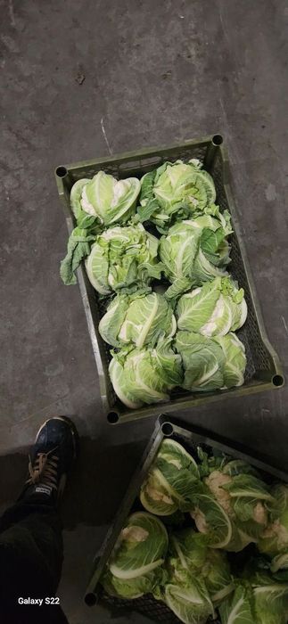 Xar xil turdagi Karamlarni yig'ib biramez katta abyobda Manzil surxand