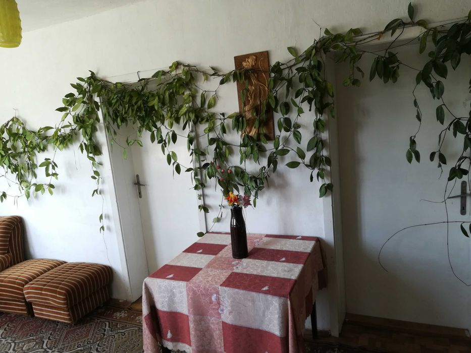 Продава се Къща в Шивачево - 216 кв.м за 278 €/кв.м - Снимка #8