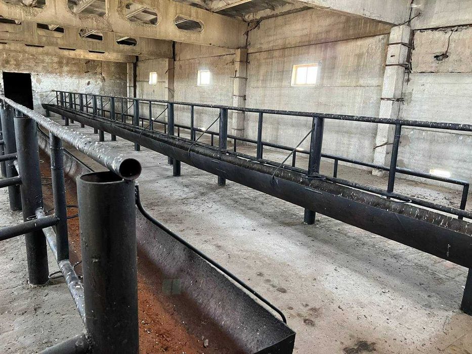 Животноводческая ферма (17.2 га) қорамол фермаси (17.2 ga)