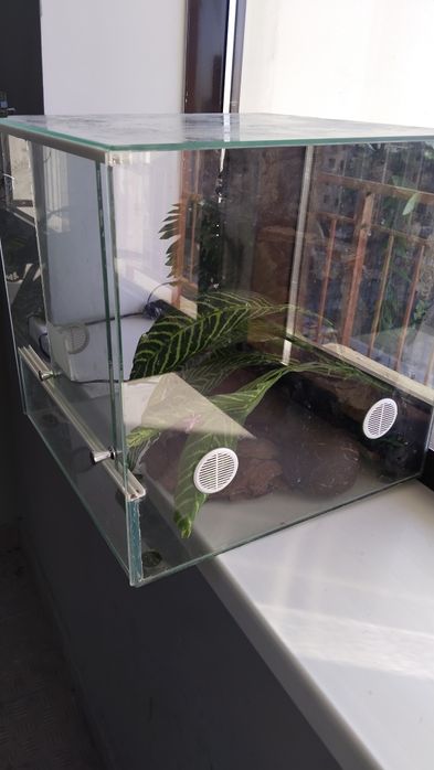 Террариум для животных