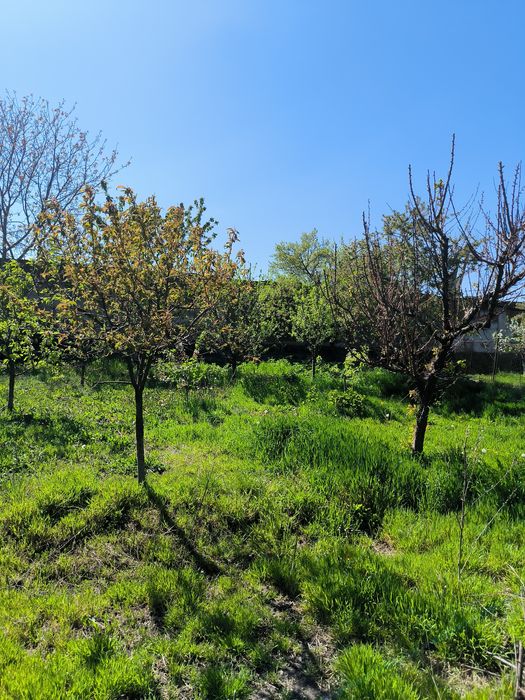 Casa de vânzare în Apahida