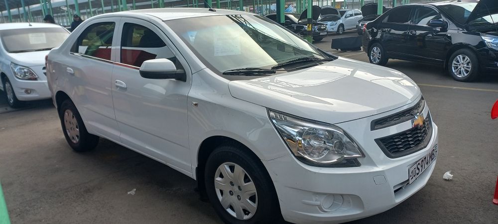 Коблт 2018.йил 1. Пазитса.  2.килнган гази бор холати зур