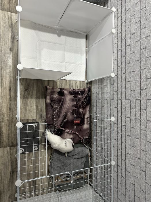 Продам вольер для щенков