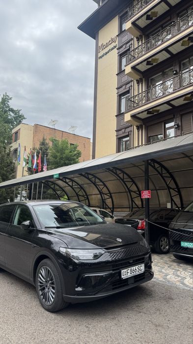 Liapmator C 11 EREV GIBRID 300 km