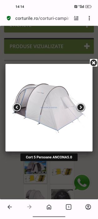 Cort familie Ancona 5.0