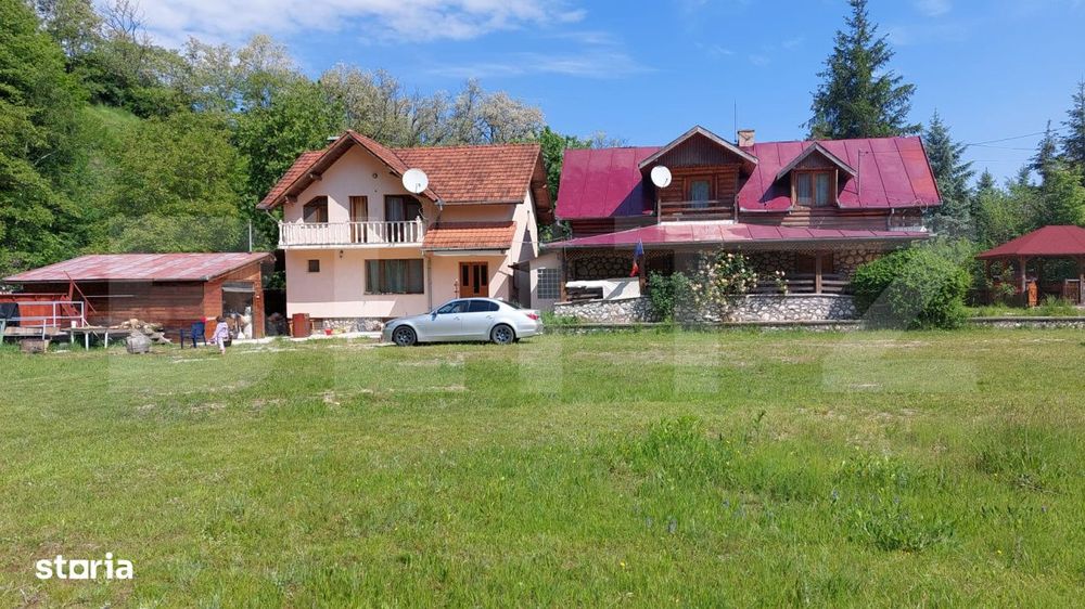 Pensiune deosebita in inima Muntilor Dacici – investitie premium in