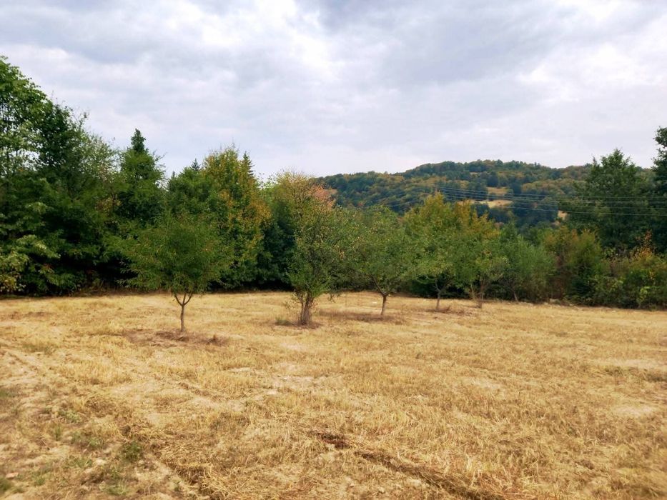 Продава се Парцел в с. Рибарица, Област София-област - 1015 кв.м за 18 €/кв.м - Снимка #3