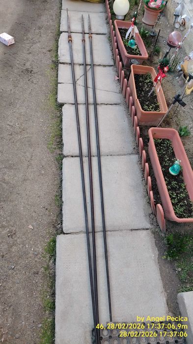 Vând trei sulițe melaneziene, prob. Papua Noua Guinee, Solomon Islands