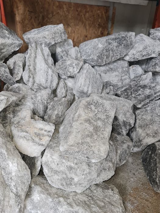 Sare bulgari zootehnici