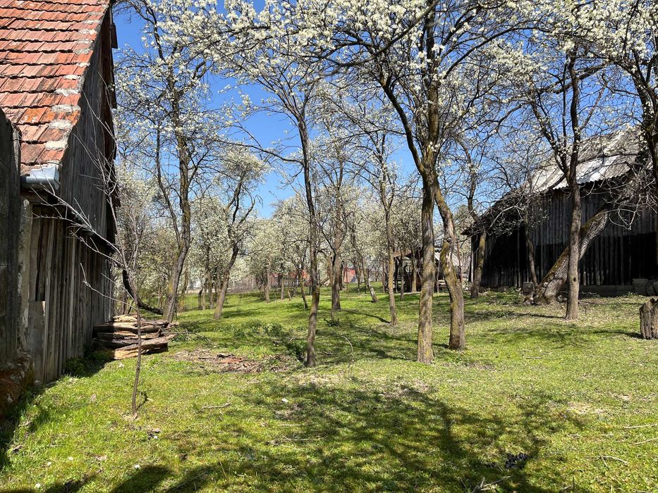 Teren Poplaca centru, utilități, împrejmuit, 989 mp