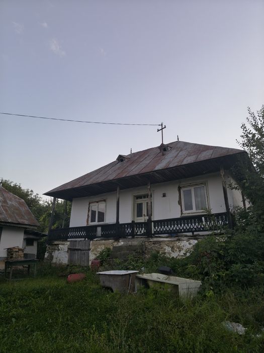 Vând casă bătrânească Leontinesti  jud Bacău locuibila și teren de 5000 m , cu livada și vie