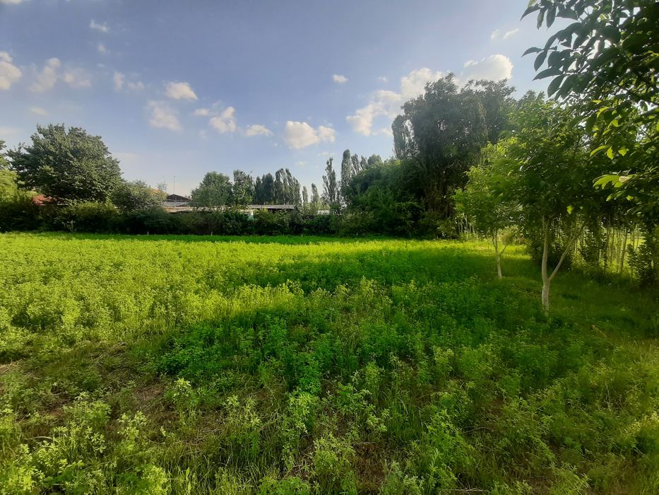 Участка сотилади   6 сотух қуруқ жой дача қурушка қулай жой