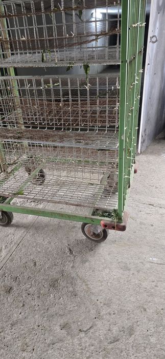 Колички за всичко