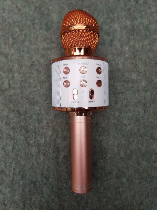 Microfon karaoke wireless