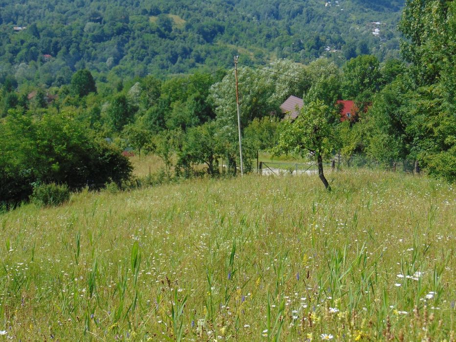 Vand teren superb in Provita de jos, langa Breaza