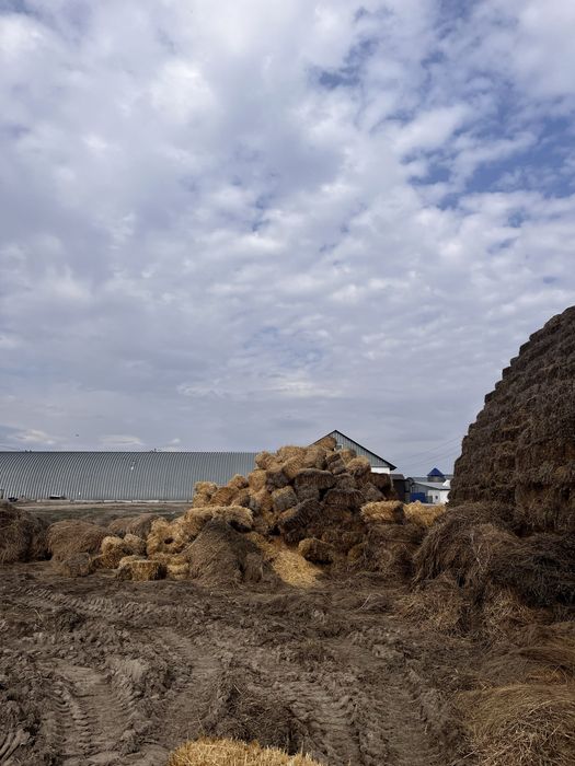 Тюки Саломы для скота