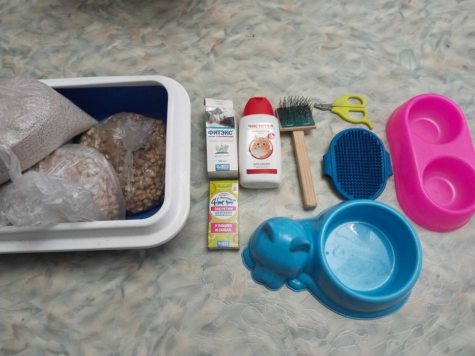 Принадлежности для кошки