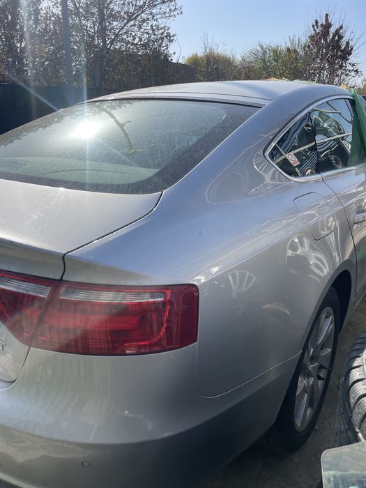 Haion cu lunetă Audi A5 2010
