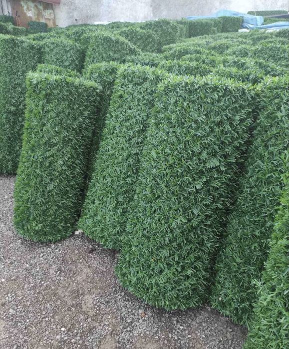 Промоция на пана и портали с 50 год.гаранция.Евро качество и топ цени!