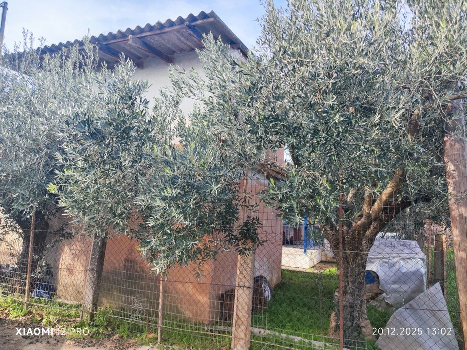 Самостоятелна къща в Паралия Офринио, Кавала