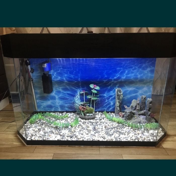 Аквариум панорамный.